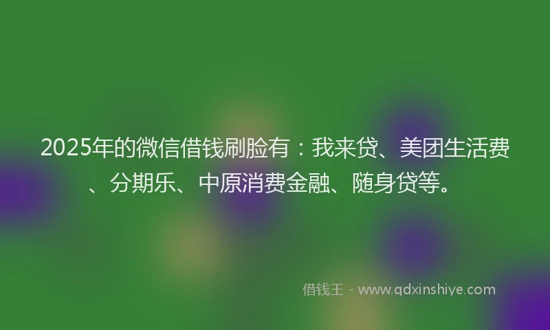 2025年的微信借钱刷脸有：我来贷、美团生活费、分期乐、中原消费金融、随身贷等。