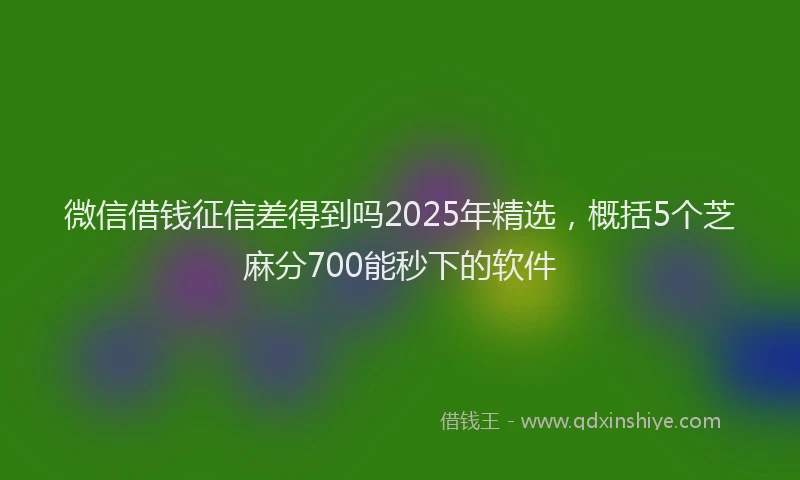 微信借钱征信差得到吗2025年精选，概括5个芝麻分700能秒下的软件