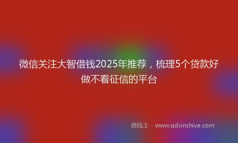 微信关注大智借钱2025年推荐，梳理5个贷款好做不看征信的平台