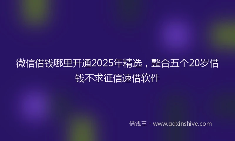 微信借钱哪里开通2025年精选，整合五个20岁借钱不求征信速借软件