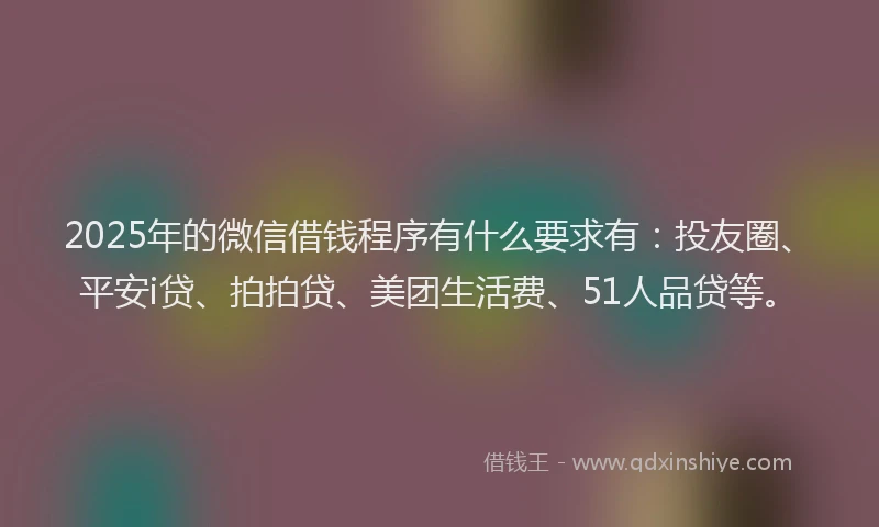 2025年的微信借钱程序有什么要求有：投友圈、平安i贷、拍拍贷、美团生活费、51人品贷等。