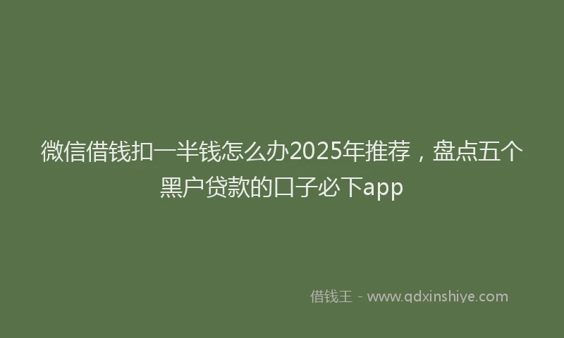 微信借钱扣一半钱怎么办2025年推荐，盘点五个黑户贷款的口子必下app