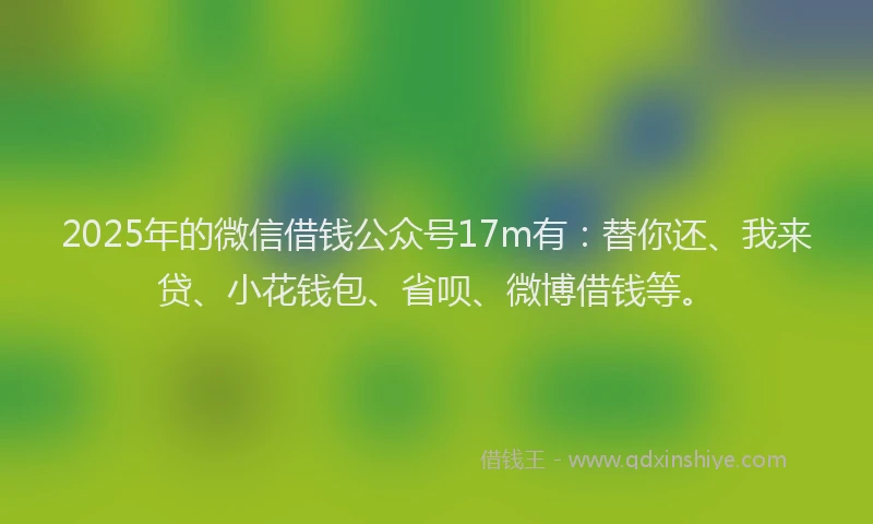 2025年的微信借钱公众号17m有：替你还、我来贷、小花钱包、省呗、微博借钱等。