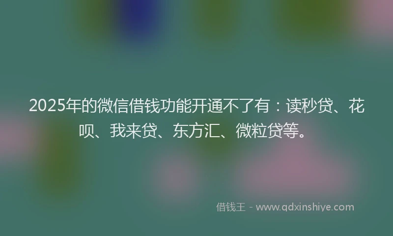 2025年的微信借钱功能开通不了有：读秒贷、花呗、我来贷、东方汇、微粒贷等。