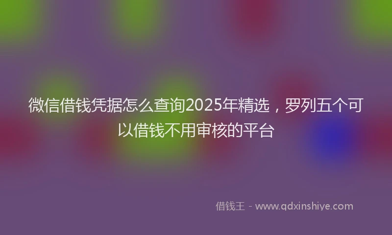 微信借钱凭据怎么查询2025年精选，罗列五个可以借钱不用审核的平台