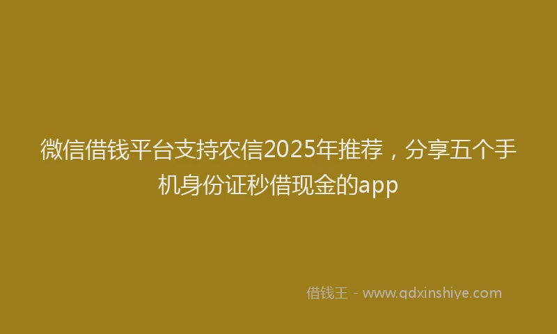 微信借钱平台支持农信2025年推荐，分享五个手机身份证秒借现金的app