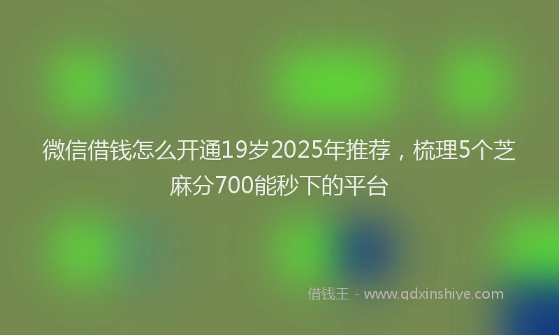 微信借钱怎么开通19岁2025年推荐，梳理5个芝麻分700能秒下的平台