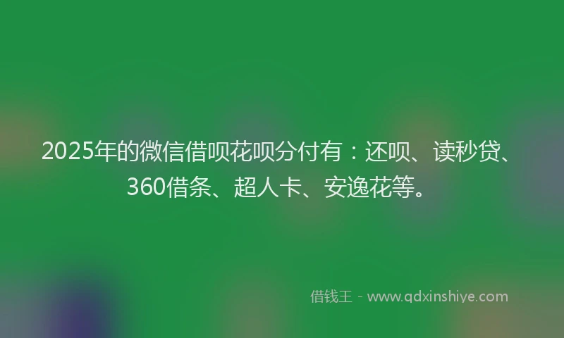 2025年的微信借呗花呗分付有：还呗、读秒贷、360借条、超人卡、安逸花等。