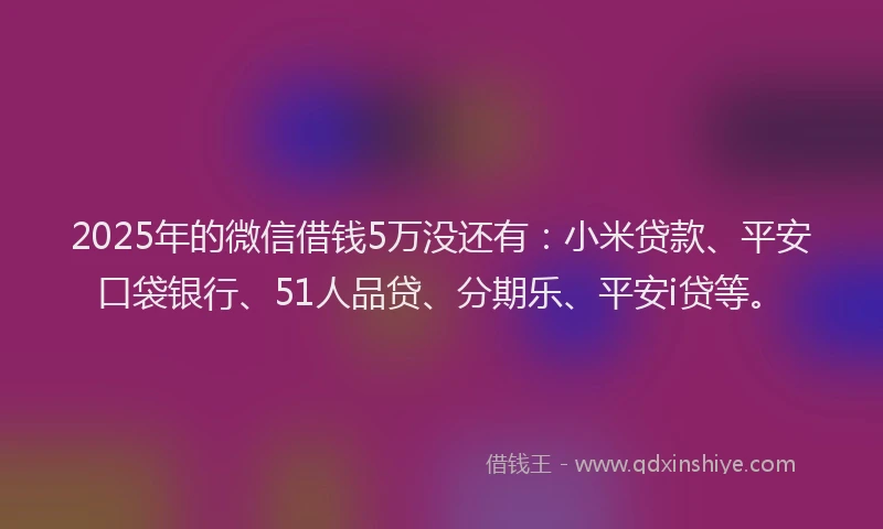 2025年的微信借钱5万没还有：小米贷款、平安口袋银行、51人品贷、分期乐、平安i贷等。