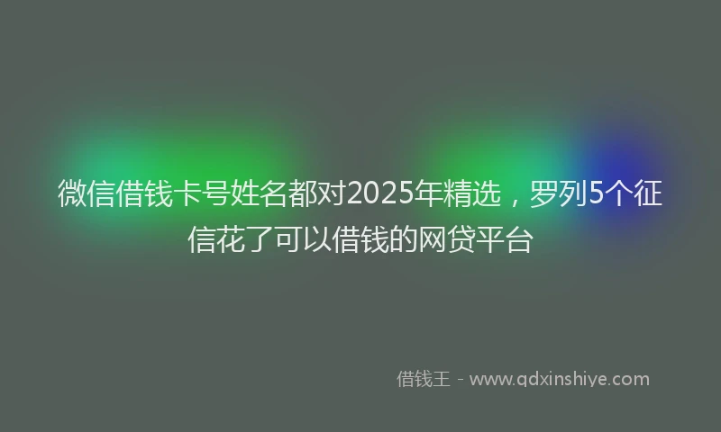 微信借钱卡号姓名都对2025年精选，罗列5个征信花了可以借钱的网贷平台