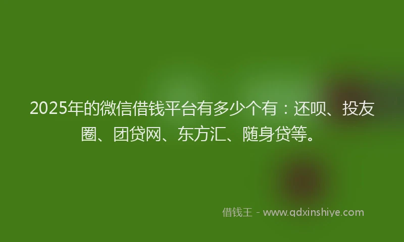 2025年的微信借钱平台有多少个有：还呗、投友圈、团贷网、东方汇、随身贷等。
