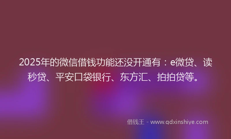 2025年的微信借钱功能还没开通有：e微贷、读秒贷、平安口袋银行、东方汇、拍拍贷等。