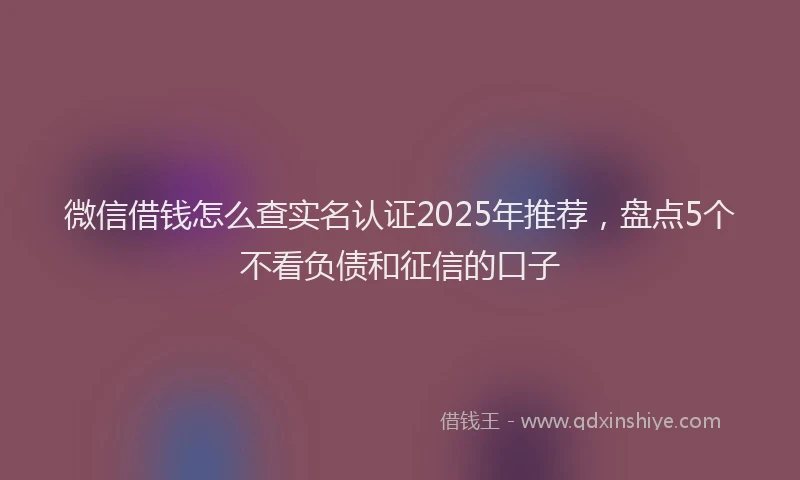 微信借钱怎么查实名认证2025年推荐，盘点5个不看负债和征信的口子