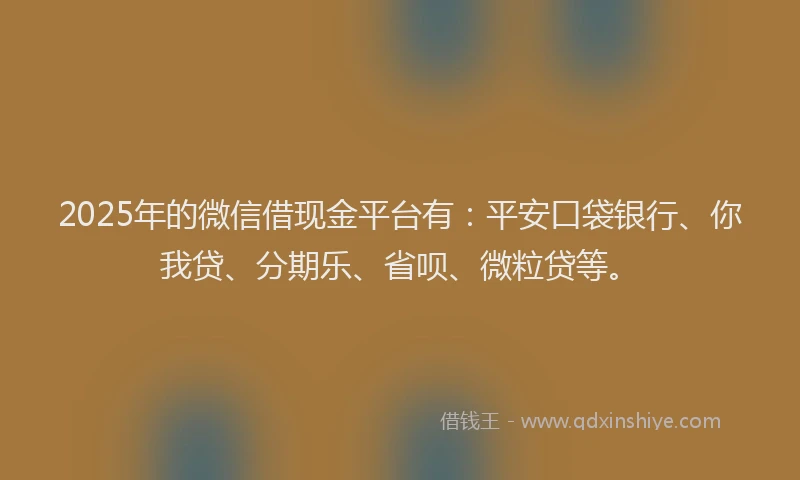 2025年的微信借现金平台有：平安口袋银行、你我贷、分期乐、省呗、微粒贷等。