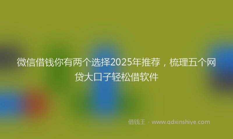 微信借钱你有两个选择2025年推荐，梳理五个网贷大口子轻松借软件