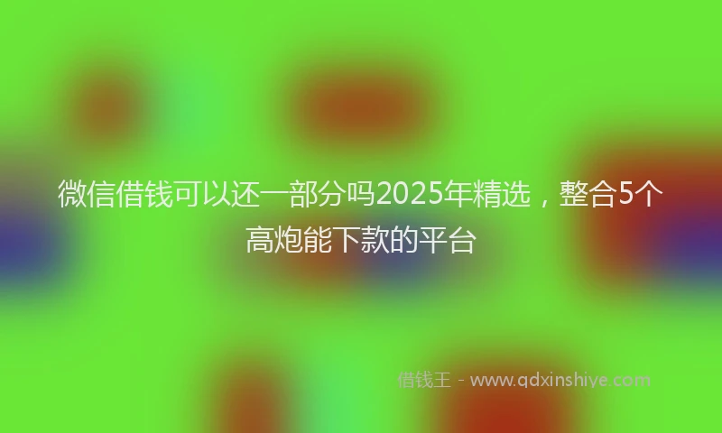 微信借钱可以还一部分吗2025年精选，整合5个高炮能下款的平台