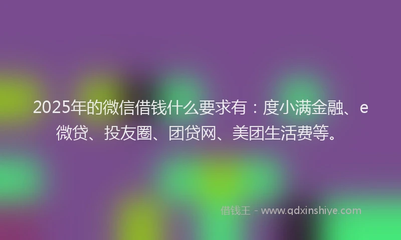 2025年的微信借钱什么要求有：度小满金融、e微贷、投友圈、团贷网、美团生活费等。