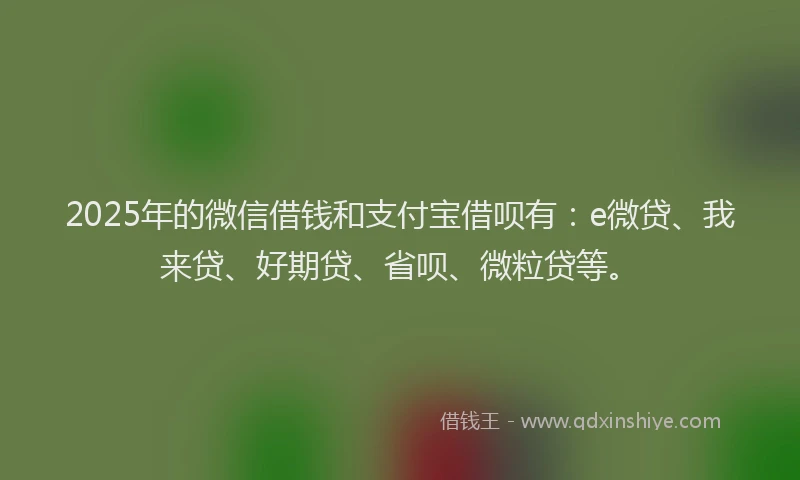 2025年的微信借钱和支付宝借呗有：e微贷、我来贷、好期贷、省呗、微粒贷等。