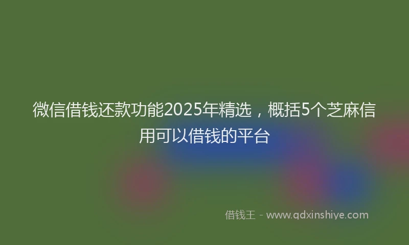微信借钱还款功能2025年精选，概括5个芝麻信用可以借钱的平台