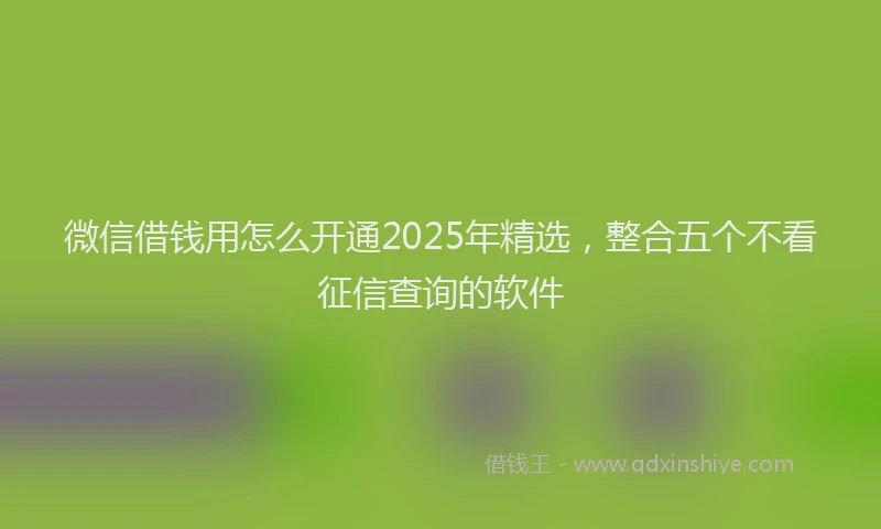 微信借钱用怎么开通2025年精选，整合五个不看征信查询的软件