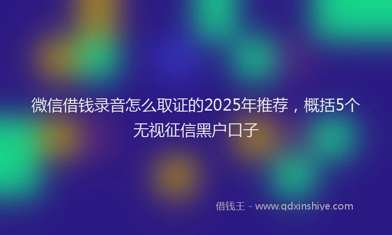 微信借钱录音怎么取证的2025年推荐，概括5个无视征信黑户口子