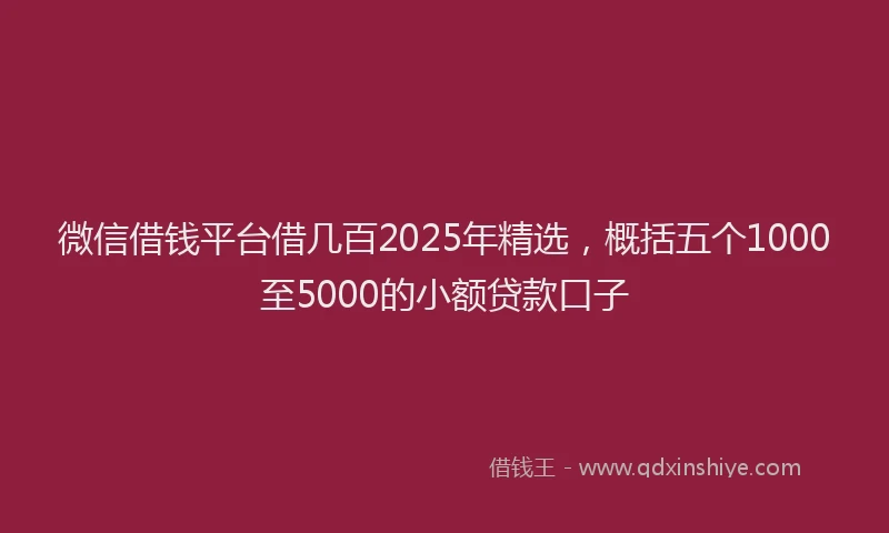 微信借钱平台借几百2025年精选，概括五个1000至5000的小额贷款口子