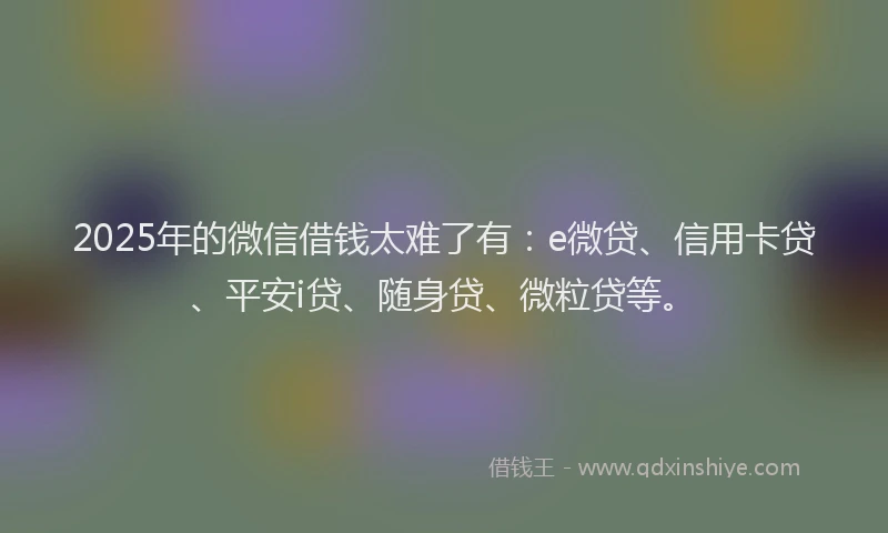 2025年的微信借钱太难了有：e微贷、信用卡贷、平安i贷、随身贷、微粒贷等。