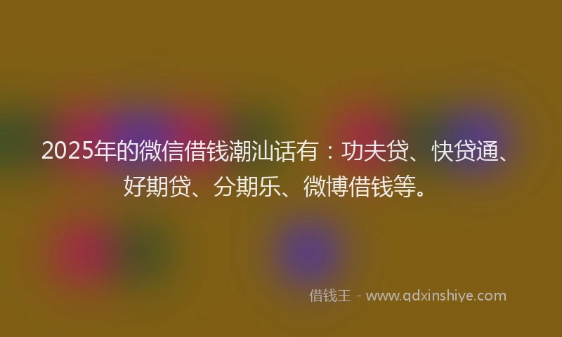 2025年的微信借钱潮汕话有：功夫贷、快贷通、好期贷、分期乐、微博借钱等。