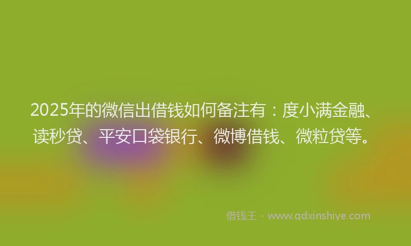 2025年的微信出借钱如何备注有：度小满金融、读秒贷、平安口袋银行、微博借钱、微粒贷等。