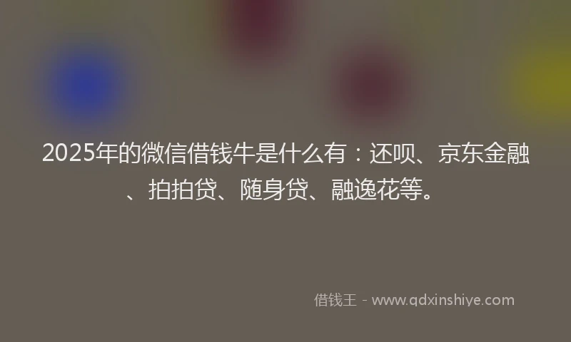2025年的微信借钱牛是什么有：还呗、京东金融、拍拍贷、随身贷、融逸花等。