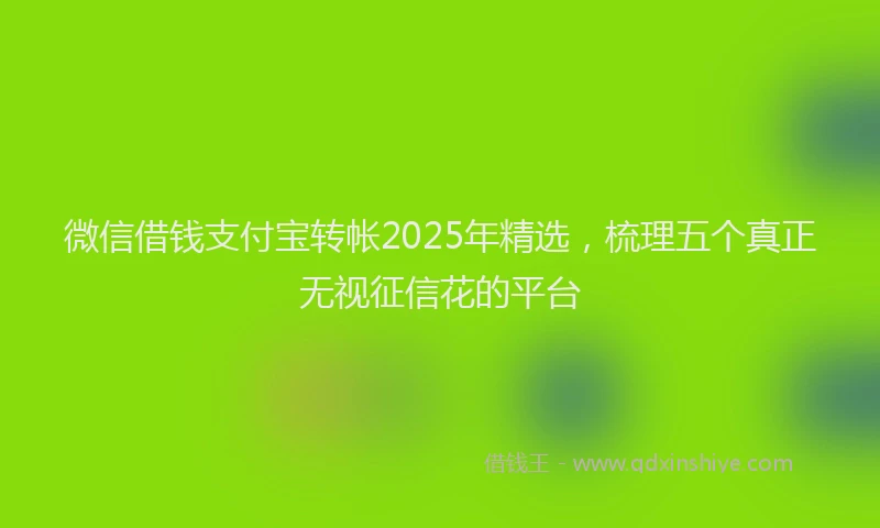 微信借钱支付宝转帐2025年精选，梳理五个真正无视征信花的平台