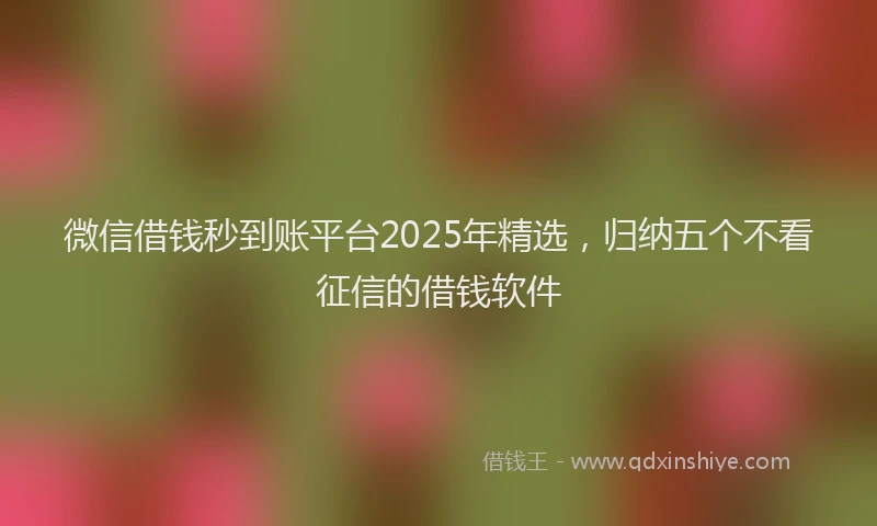 微信借钱秒到账平台2025年精选，归纳五个不看征信的借钱软件