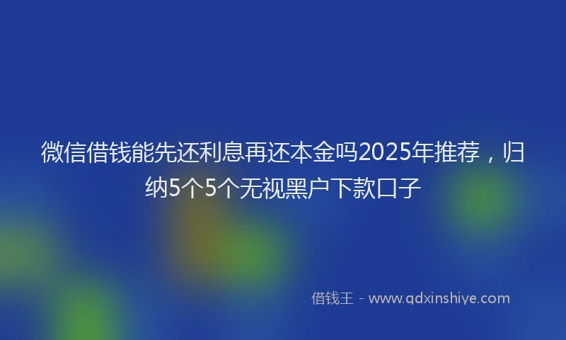 微信借钱能先还利息再还本金吗2025年推荐，归纳5个5个无视黑户下款口子