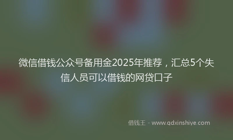 微信借钱公众号备用金2025年推荐，汇总5个失信人员可以借钱的网贷口子