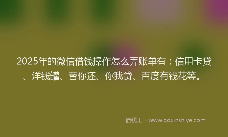 2025年的微信借钱操作怎么弄账单有：信用卡贷、洋钱罐、替你还、你我贷、百度有钱花等。