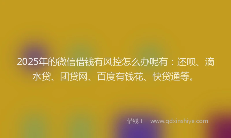 2025年的微信借钱有风控怎么办呢有：还呗、滴水贷、团贷网、百度有钱花、快贷通等。