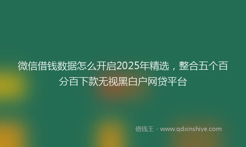 微信借钱数据怎么开启2025年精选，整合五个百分百下款无视黑白户网贷平台