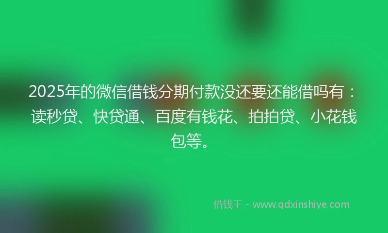 2025年的微信借钱分期付款没还要还能借吗有：读秒贷、快贷通、百度有钱花、拍拍贷、小花钱包等。