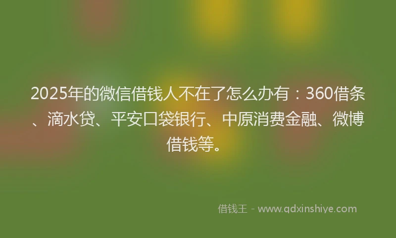 2025年的微信借钱人不在了怎么办有：360借条、滴水贷、平安口袋银行、中原消费金融、微博借钱等。