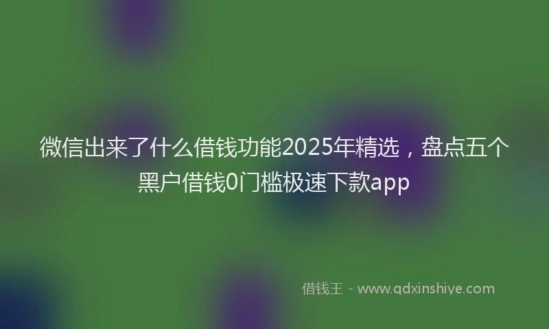 微信出来了什么借钱功能2025年精选，盘点五个黑户借钱0门槛极速下款app