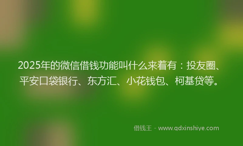 2025年的微信借钱功能叫什么来着有：投友圈、平安口袋银行、东方汇、小花钱包、柯基贷等。