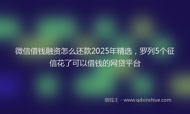 微信借钱融资怎么还款2025年精选，罗列5个征信花了可以借钱的网贷平台