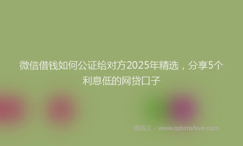 微信借钱如何公证给对方2025年精选，分享5个利息低的网贷口子