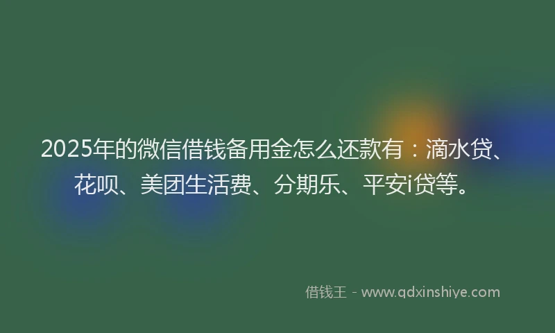 2025年的微信借钱备用金怎么还款有：滴水贷、花呗、美团生活费、分期乐、平安i贷等。