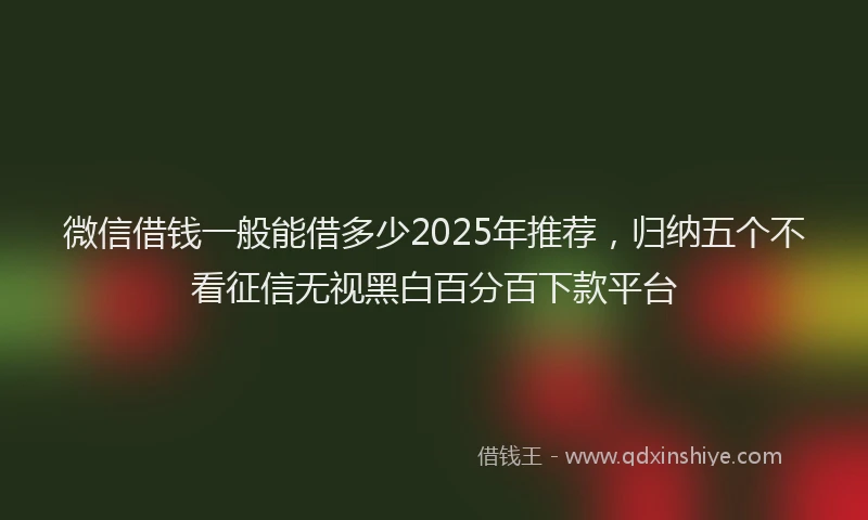 微信借钱一般能借多少2025年推荐，归纳五个不看征信无视黑白百分百下款平台