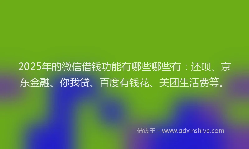 2025年的微信借钱功能有哪些哪些有：还呗、京东金融、你我贷、百度有钱花、美团生活费等。