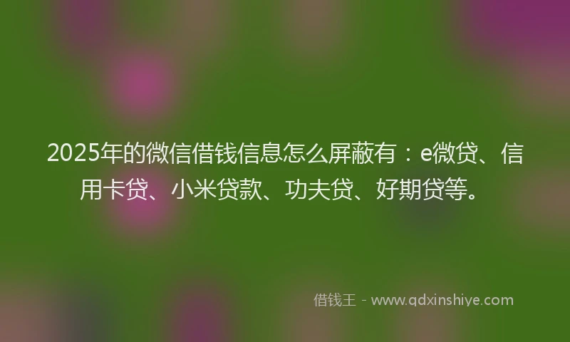 2025年的微信借钱信息怎么屏蔽有：e微贷、信用卡贷、小米贷款、功夫贷、好期贷等。