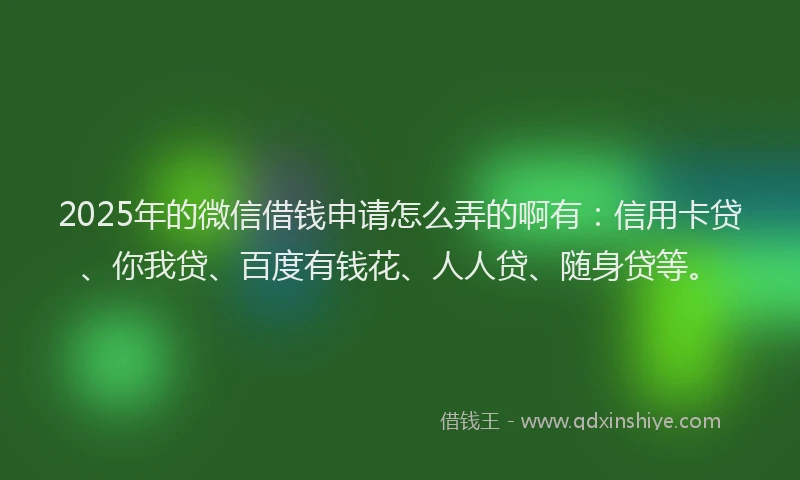 2025年的微信借钱申请怎么弄的啊有：信用卡贷、你我贷、百度有钱花、人人贷、随身贷等。