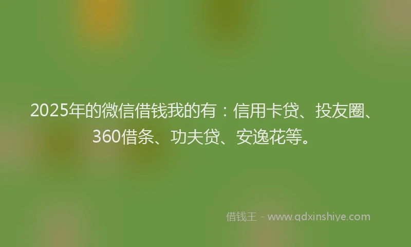 2025年的微信借钱我的有：信用卡贷、投友圈、360借条、功夫贷、安逸花等。
