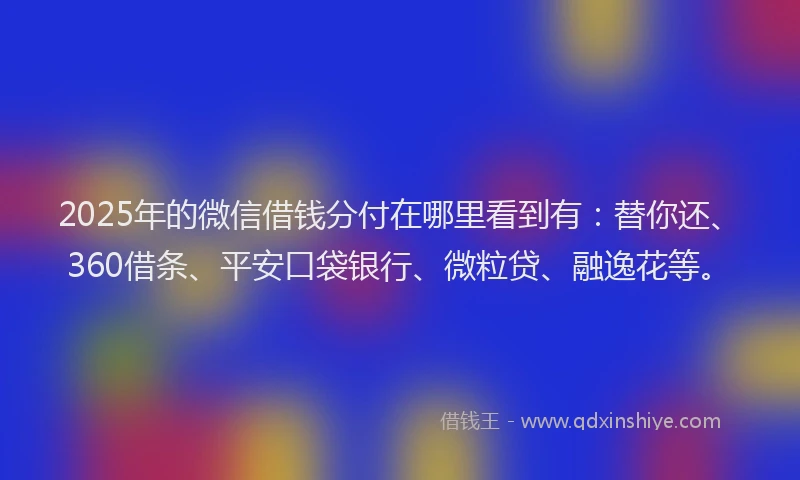 2025年的微信借钱分付在哪里看到有：替你还、360借条、平安口袋银行、微粒贷、融逸花等。